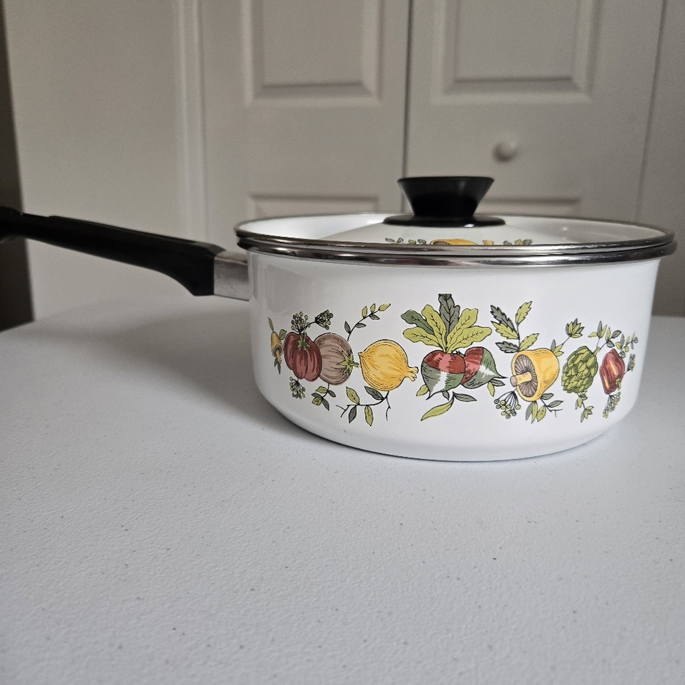 Vintage Gemini International Spice Of Life Mushroom Enamel Pot